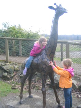 zoo-riding-giraffe-263-x-350.jpg